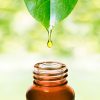 Citronella