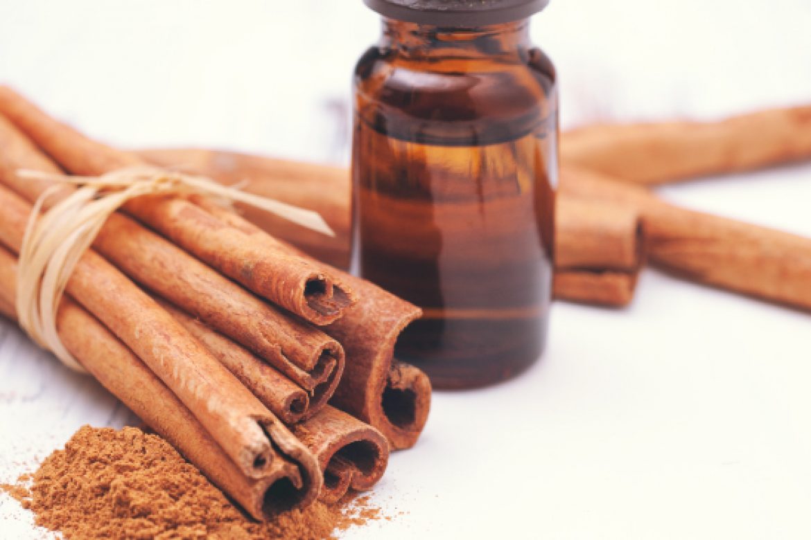 Cinnamon Bark Essential Oil – The perfect gift for Christmas! By Karen Morris